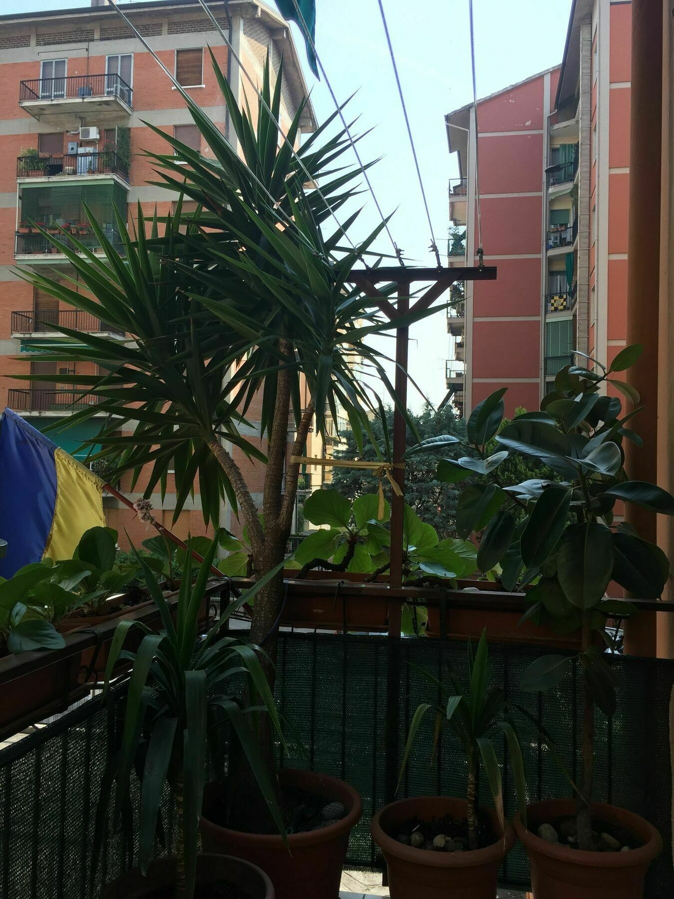 Hotel Locazione Turistica Sole Verona Esterno foto